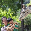 에버마루 이미지