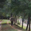내일도여기 이미지