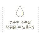 네바에헤어 네이버블로그