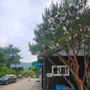 서울 근교 양평 서종 조용하고 깨끗한 수입리 캠핑장 1번 파쇄석 후기
