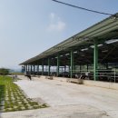 주남목장 이미지