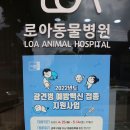 로아동물병원 이미지