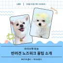 플레이펫