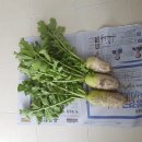 대림생수 이미지