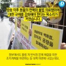 배약국 이미지