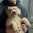 깜닭치킨(본점) 이미지