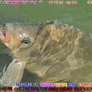 행운낚시터 이미지