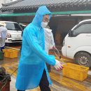 김정희오일 이미지