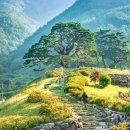 31번 국도의 추억 이미지