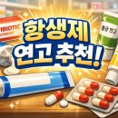 라벤더(LAVENDA) | 항생제 연고 추천 │ 약국에서 살 수 있는 제품 총정리