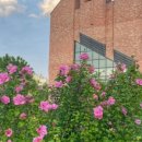 별내동7 무궁화공원[별내-7] 이미지