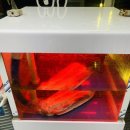 장원참숯불갈비 이미지