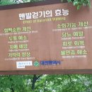 고려수지침성남지회 | 맨발걷기의 놀라운 효과