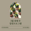 무이재한방병원 3월 4째 주 힐링프로그램 이야기