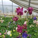 진천농장 이미지