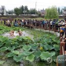 &#34;물과 흥이 넘친다&#34;…장흥 물축제 29일 개막 이미지