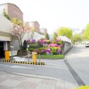 세종그랑시아 1단지 이미지