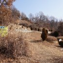 금산 주차장(공동묘지 주차장) 네이버블로그