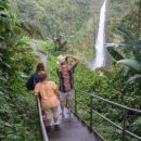 커피아일랜드 이미지