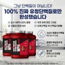 헬스보충제 | 근성장 치트키 헬스매니아 단백질보충제 초코맛 대용량 정착 후기