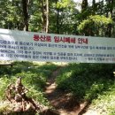 우암산등산로1 이미지