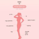 나노스피어 이미지