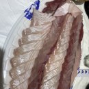 광어의전설 이미지