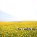꽃피우리