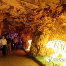 태화강펜션 이미지