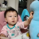 엄마와 그림책 놀이 이미지