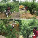 옥영농장 이미지