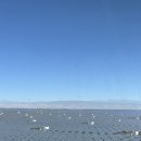 푸른 태양광발전소 이미지