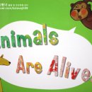 스마트스타트잉글리시 이미지