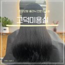 엔젤카크리닉 | [평택 미용실] &#34;고덕미용실&#34;에서 헤어클리닉 받은 후기