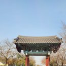 창리 석조보살입상倉里 石造菩薩立像 | 논산시 관촉동 반야산 관촉사(20221028)