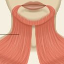 마인성형외과의원 이미지