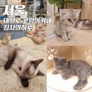 집사의하루 혜화점 이미지