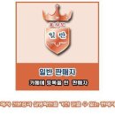 참나물 영양부추 부추모종 판매 이미지