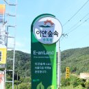 공주 이안 숲속 캠핑장 답사기 이미지