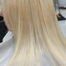 단골미용실 | 머릿결 고민, 스타일 변신! 제 단골 미용실 솔직 후기 담아봐요