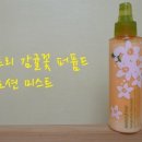 꽃바디 이미지
