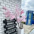 [제주맛집/바당길] 아기도 잘먹는 보말칼국수 보말죽 전복죽 내돈내산 후기