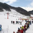 수안보이글벨리스키리조트 | 충청북도에서 겨울에 가기 좋은 추천 인생샷 스키 명소 모음 베스트5와 이유, 특징, 주변 등 하루코스...