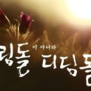 디딤돌 Daum카페