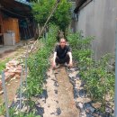 삼성이용소 이미지