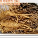 금산인삼 이미지