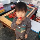 도울마트 이미지