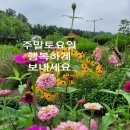 상쾌한아침