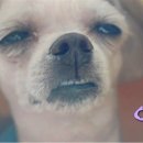 야키토리 잔잔 방이직영점 이미지