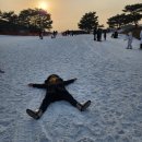 하루의 찬 | ❄️ 비발디파크 스노위랜드 12월 vs 1월 비교｜방학엔 카라반 필수! 기구까지 다 탄 하루 꽉 찬 일정 후기